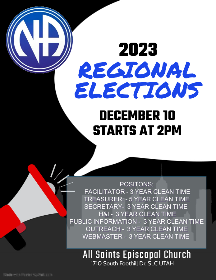 region elections flyer